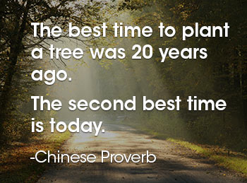 The best time to plant a tree was 20 years ago. The second best time is today.